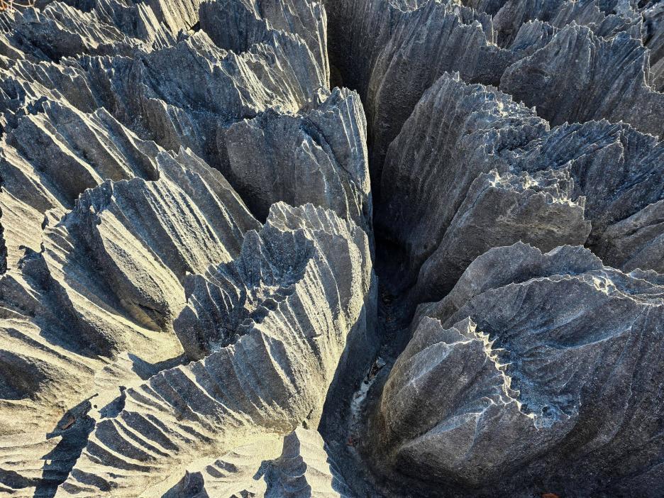 фото img_69537d364ff5f.jpg