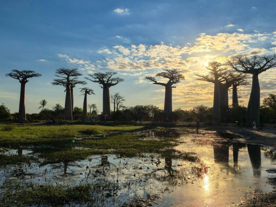 фото img_69539def80911.jpg