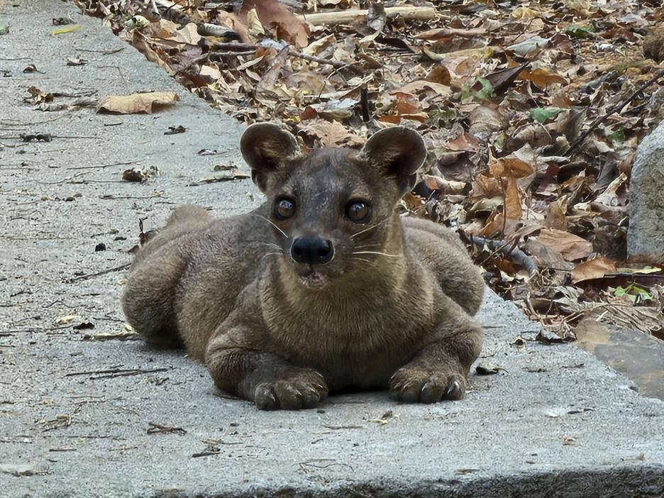 фото img_69539df203b20.jpg