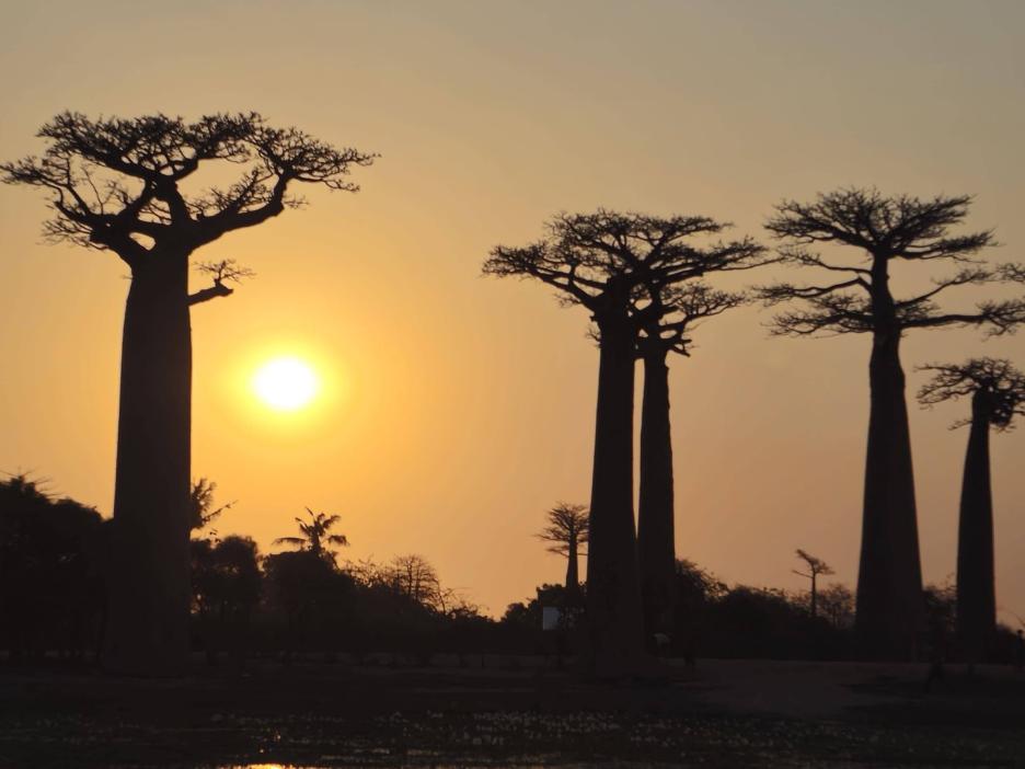 фото img_69539df462569.jpg