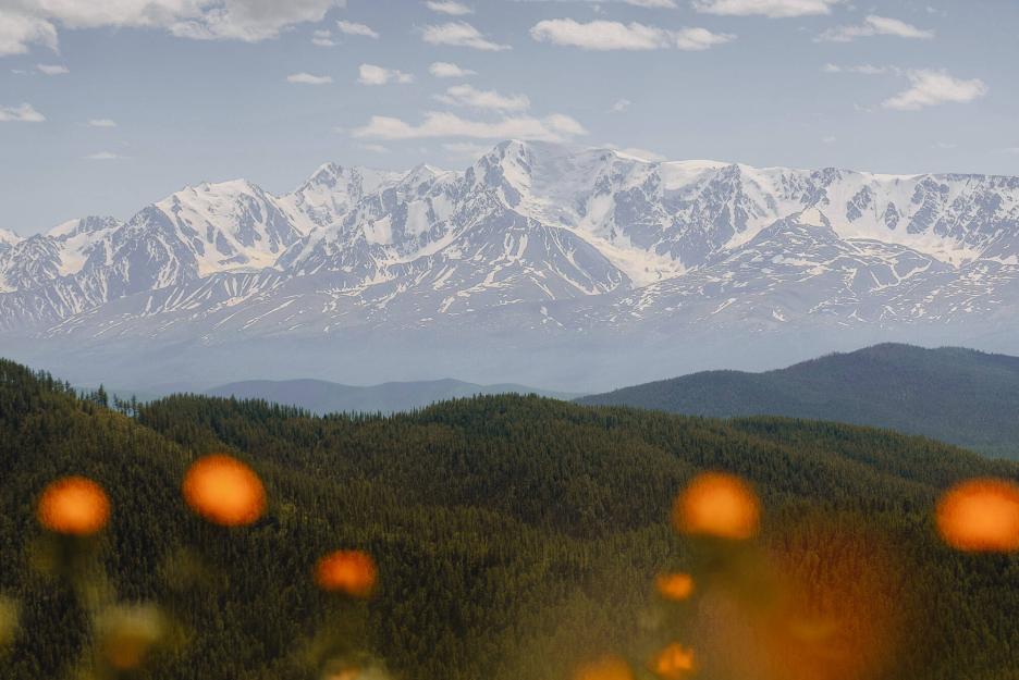 фото img_6964c9911ac2f.jpg