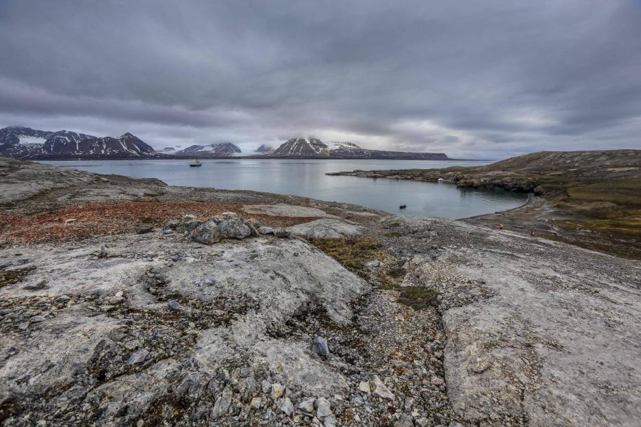 фото img_6964dddfefe9e.jpg