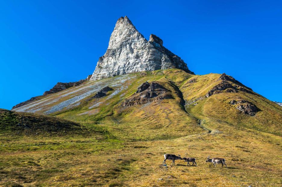 фото img_6964dde31bc60.jpg