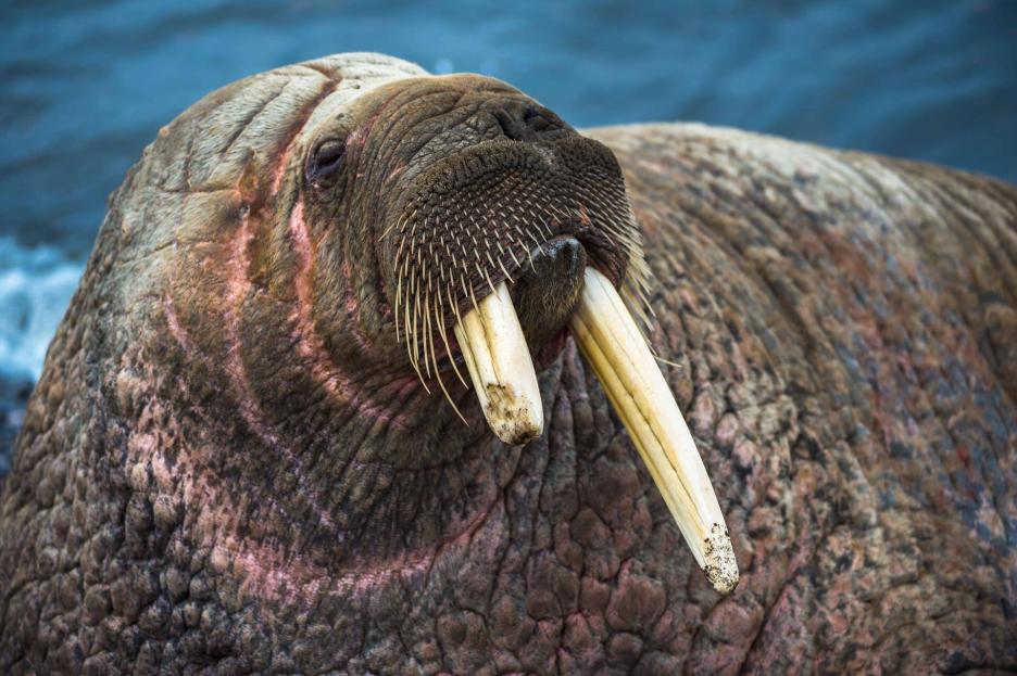 фото img_6964deb49f83d.jpg