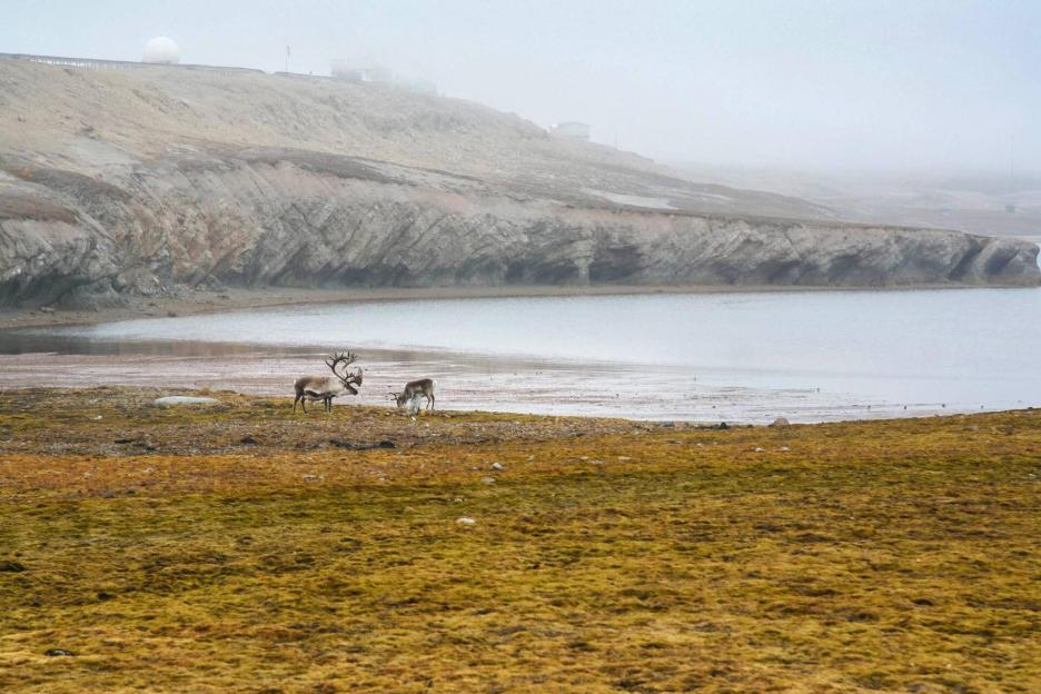 фото img_6964deb7457dc.jpg