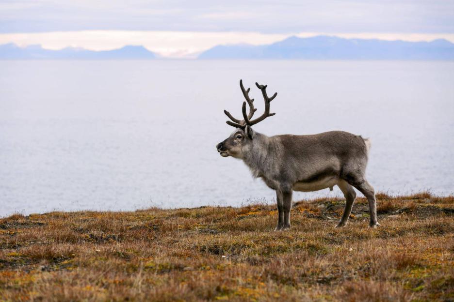 фото img_6964debb347a8.jpg