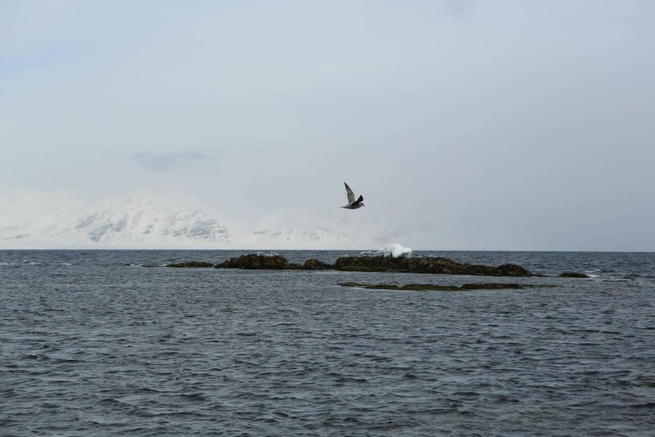 фото img_6964dec055d57.jpg