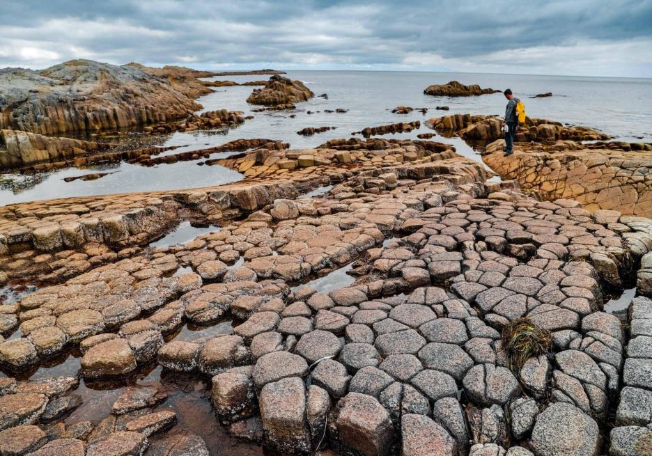 фото img_6970ccea7588b.jpg