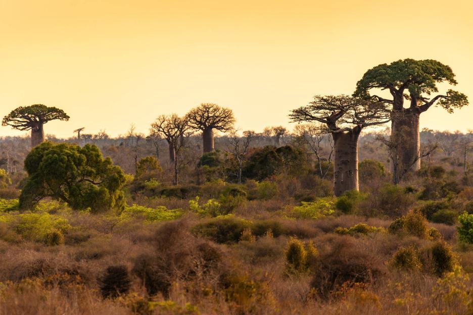 фото img_697226541298f.jpg