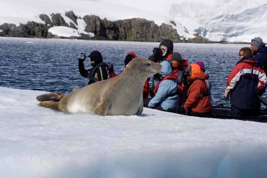 фото img_697b5ea2b85bc.jpg