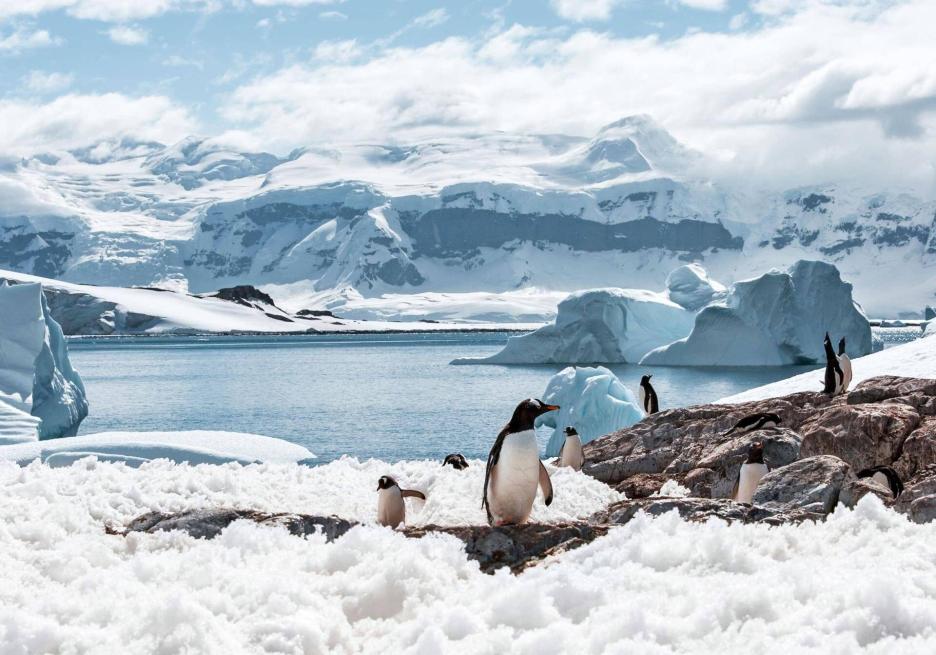 фото img_69806f542c31b.jpg