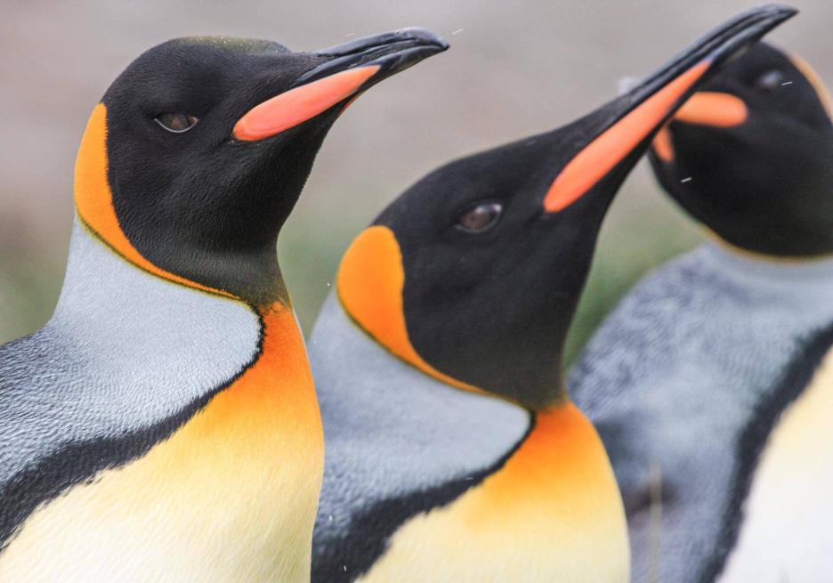 фото img_69806f5597f6c.jpg