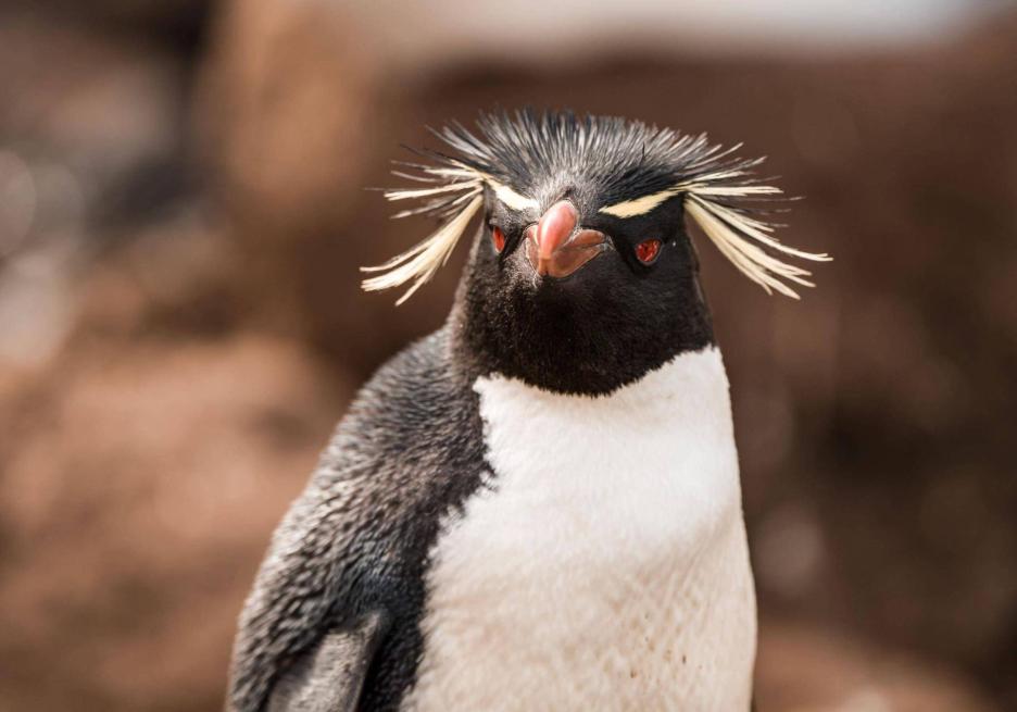 фото img_69806f5b7bb01.jpg