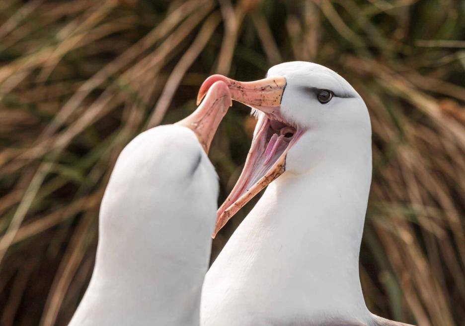 фото img_69806f5cdce85.jpg