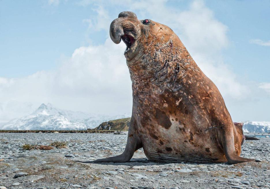 фото img_69806f5fae810.jpg