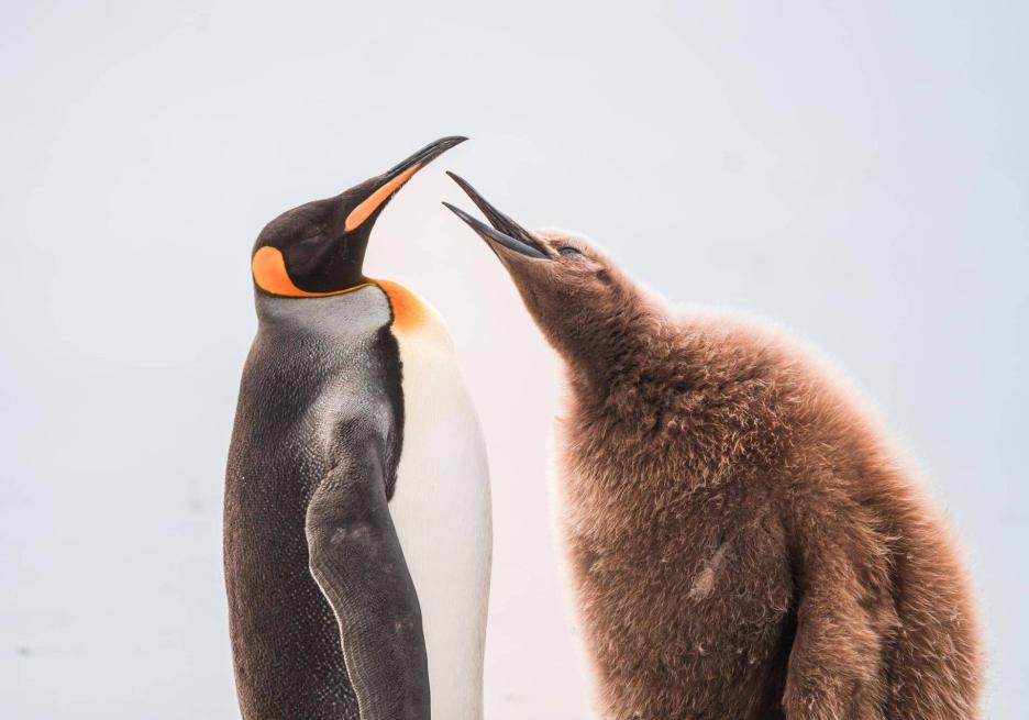 фото img_69806f612a97b.jpg