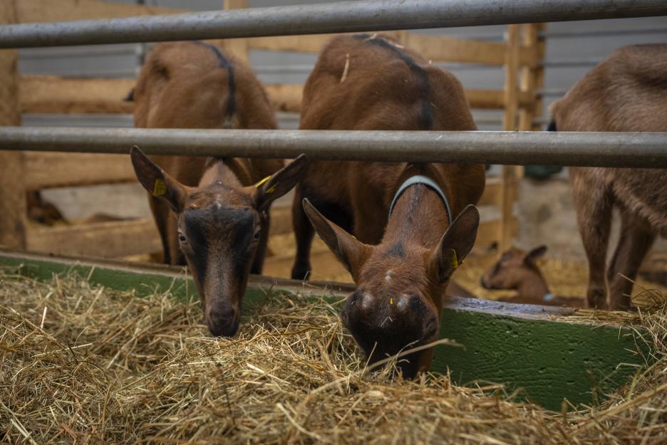 фото img_6981afb4ef191.jpg