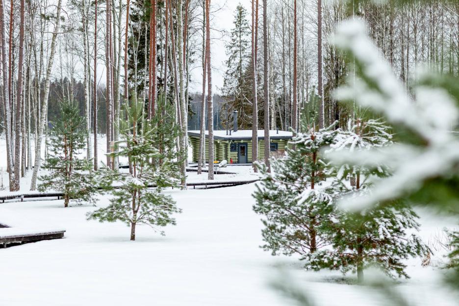 фото img_6981b1d6d49f9.jpg