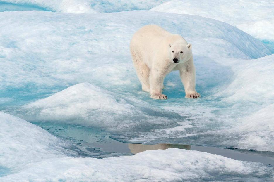 фото img_69844d177726b.jpg