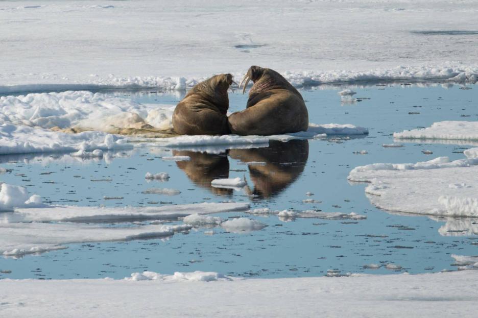 фото img_69844d1a347c8.jpg