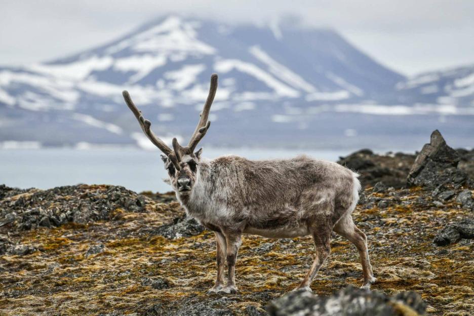 фото img_69844d2207b30.jpg