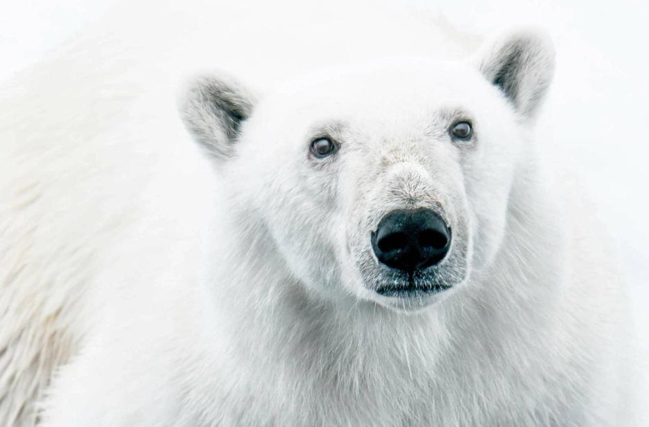 фото img_69844d275f502.jpg