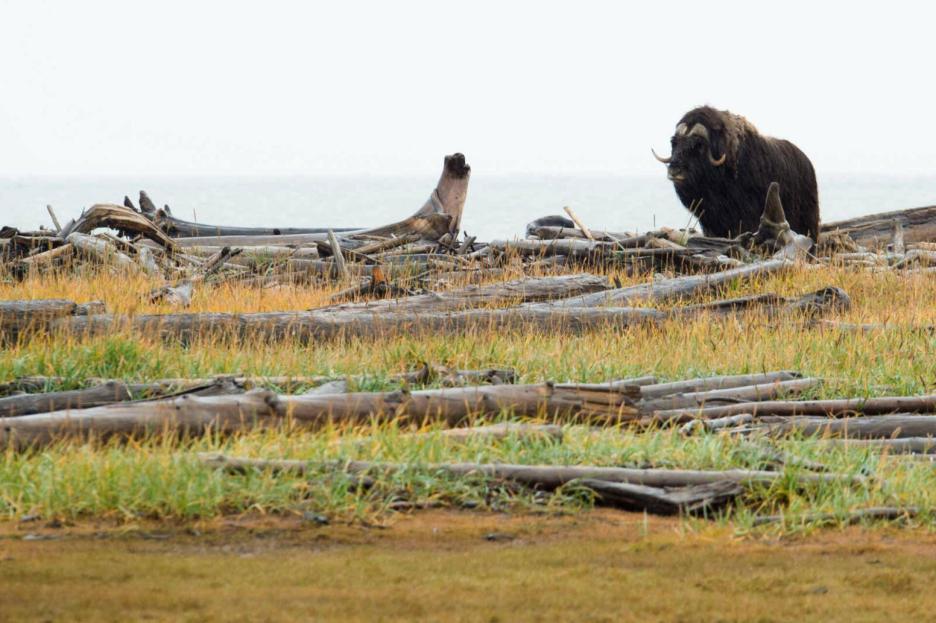 фото img_69844de1833cf.jpg