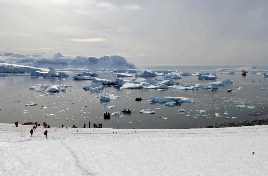 фото img_69844de550952.jpg