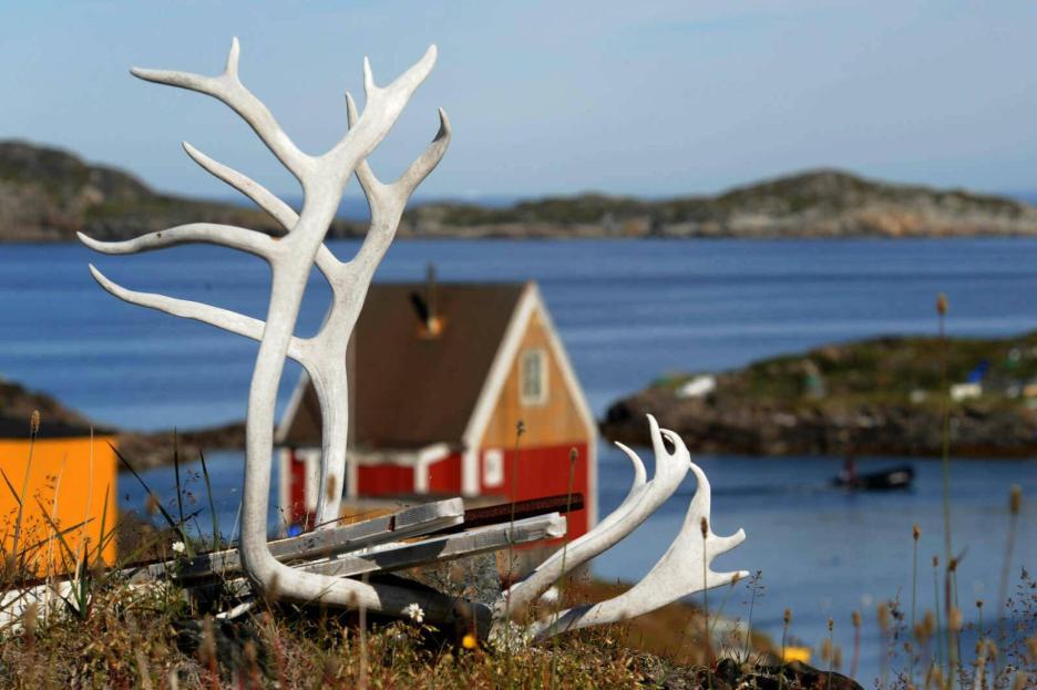 фото img_69844de69fd99.jpg