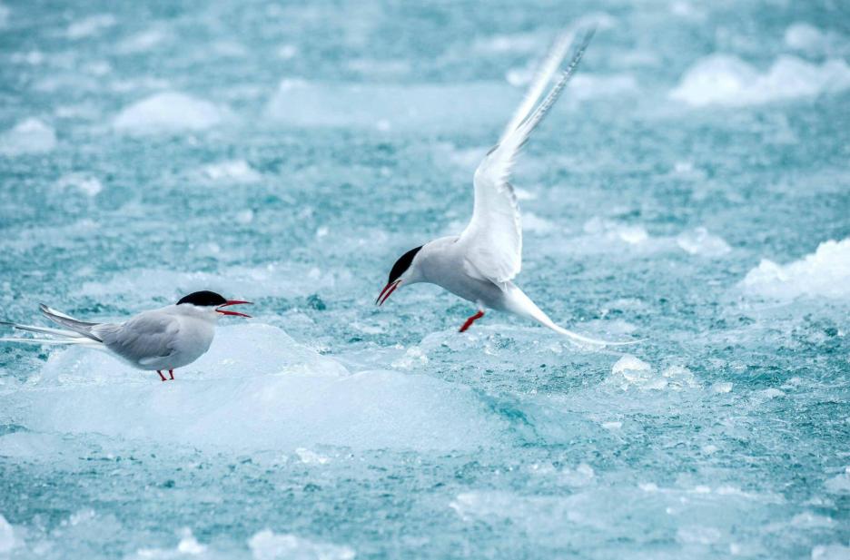 фото img_69844dee9e642.jpg