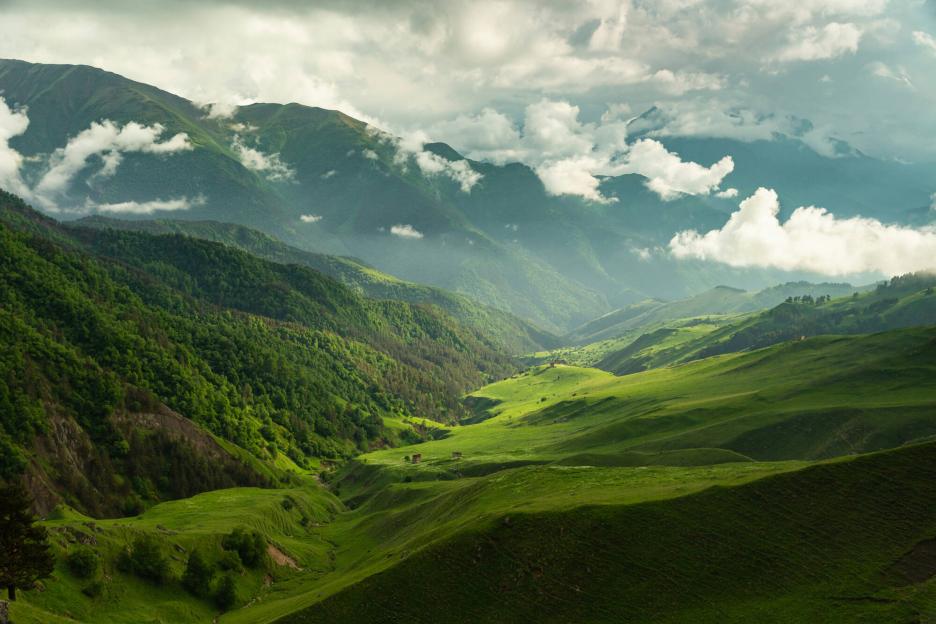 фото img_698459ed0d5a1.jpg