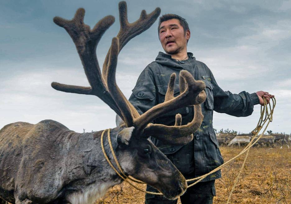 фото img_6984b2ea0636a.jpg