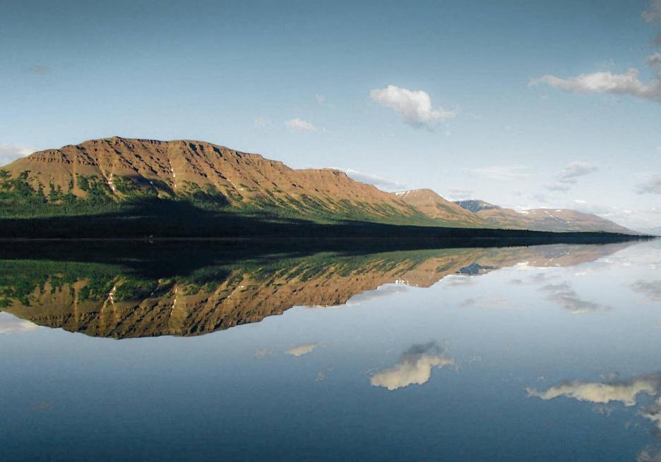 фото img_6984b2f4b9bb8.jpg