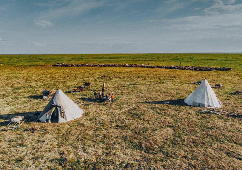 фото img_6984b460af5ec.jpg