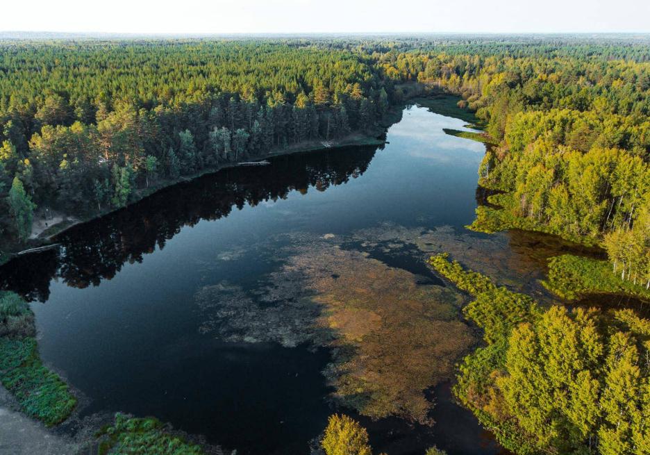 фото img_6984b4697d9c1.jpg