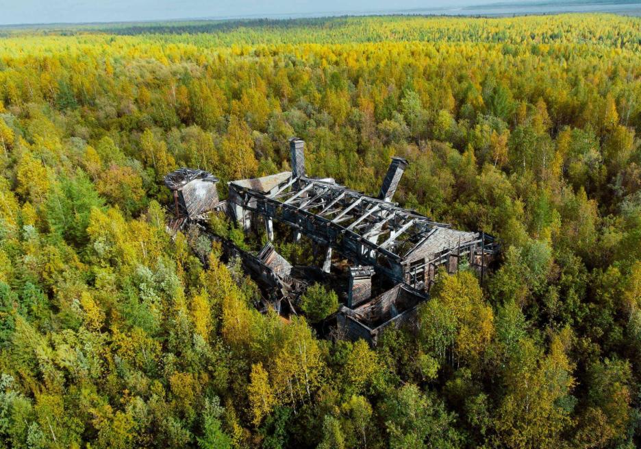 фото img_6984b46e66fb5.jpg