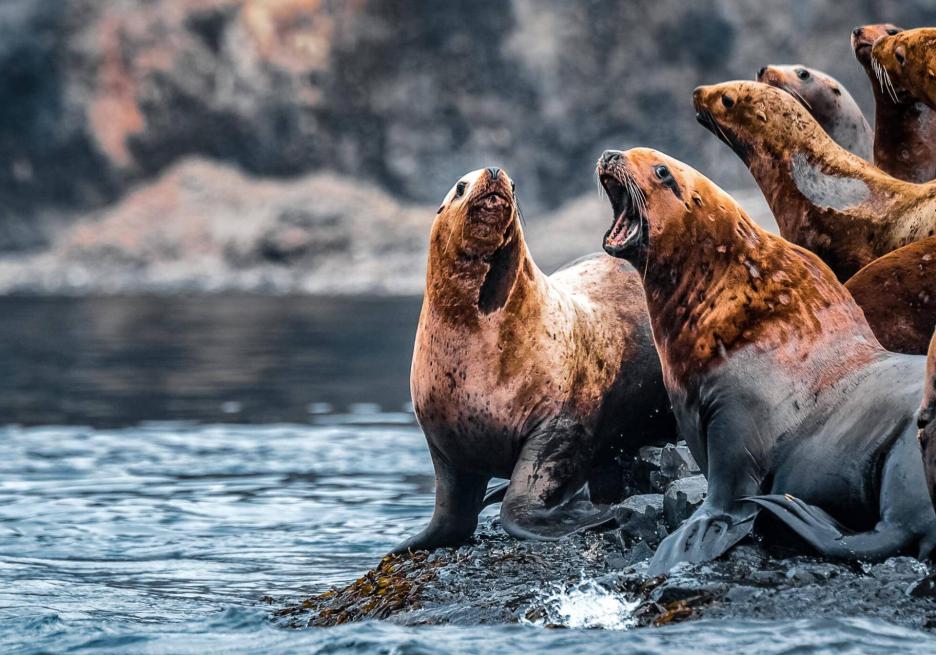 фото img_6985ba0790b9a.jpg