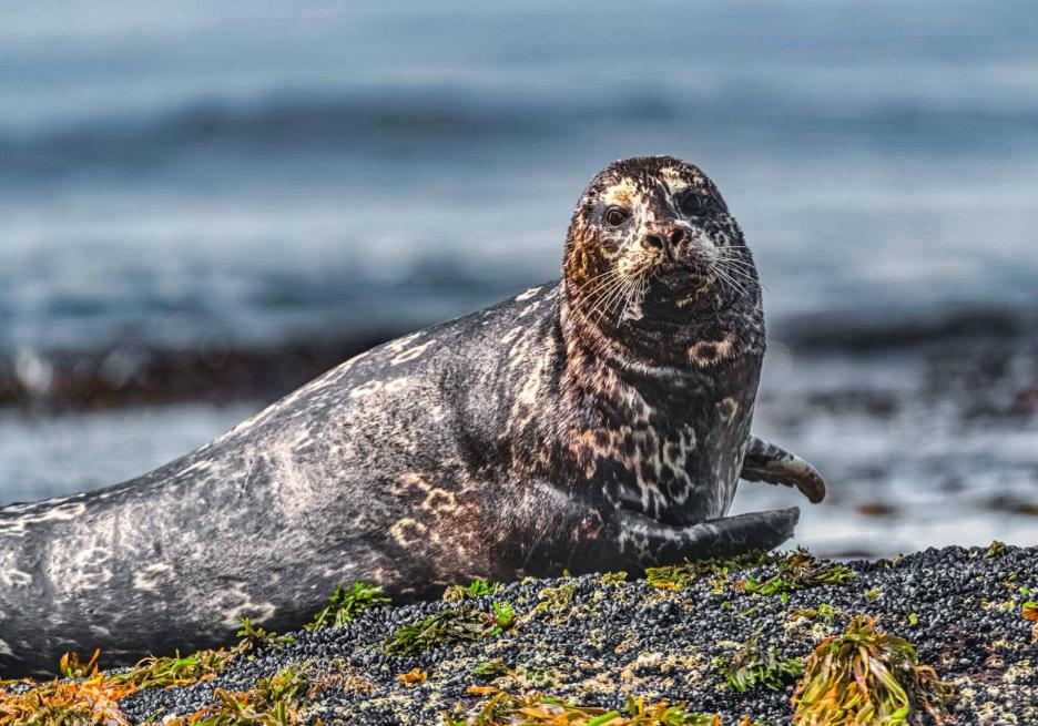 фото img_6985ffd655249.jpg