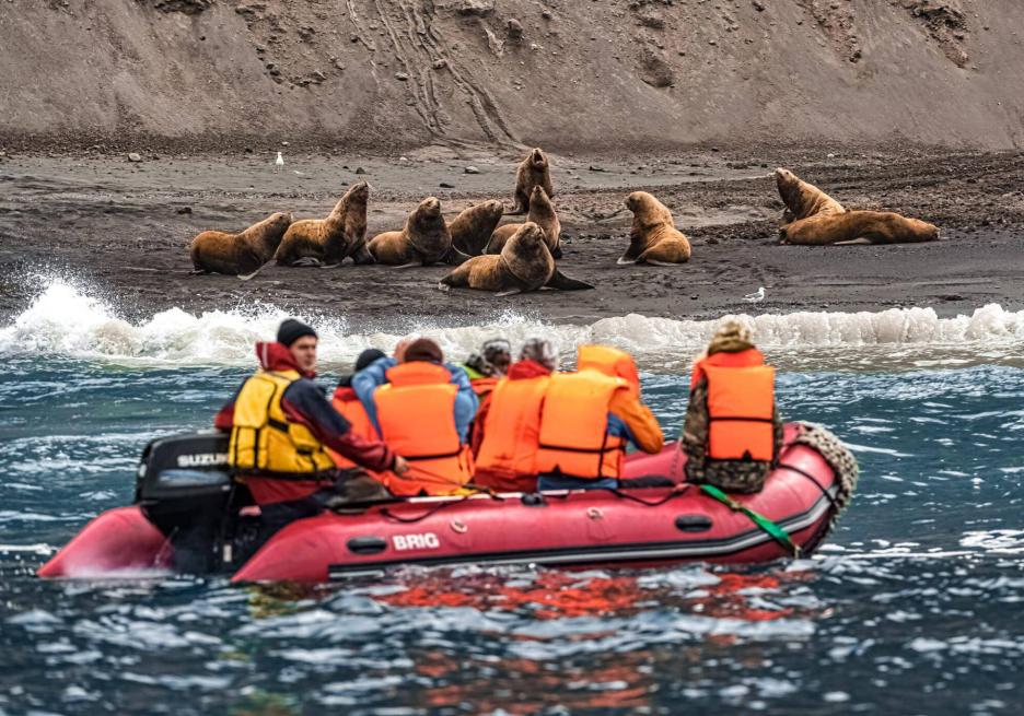 фото img_6985ffdaa1e3e.jpg