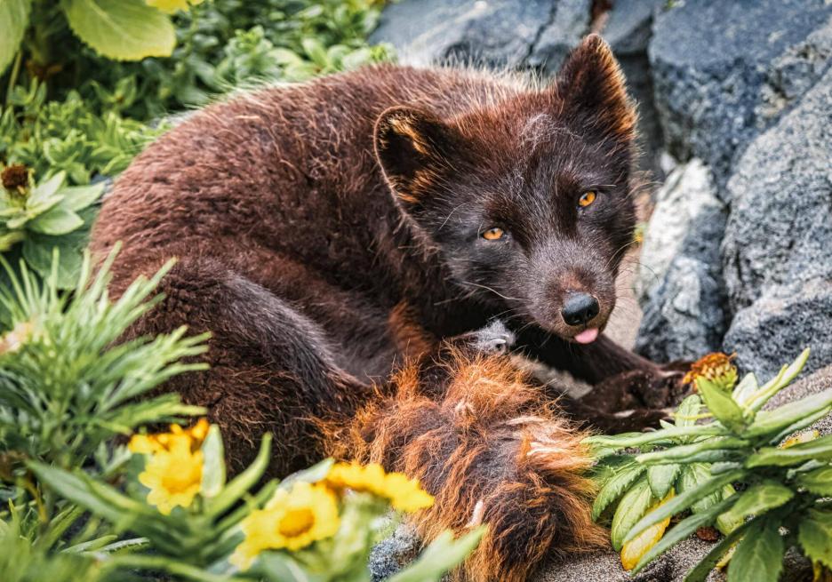 фото img_6985ffdc19f4c.jpg