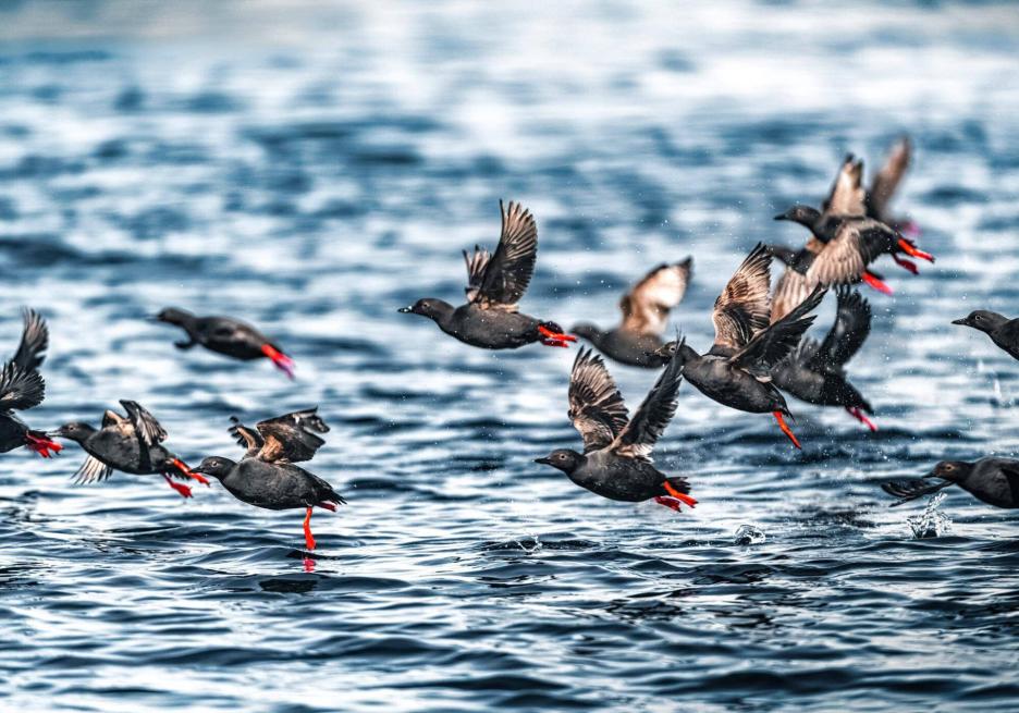 фото img_6985ffe30f9cf.jpg