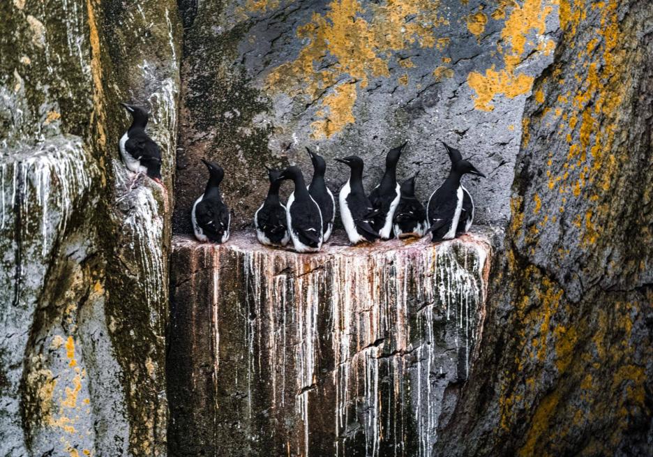 фото img_6985ffe473b95.jpg