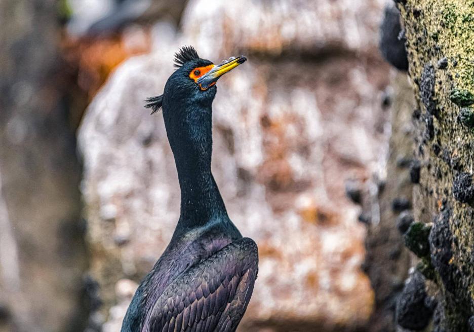 фото img_6985ffe5eabf8.jpg