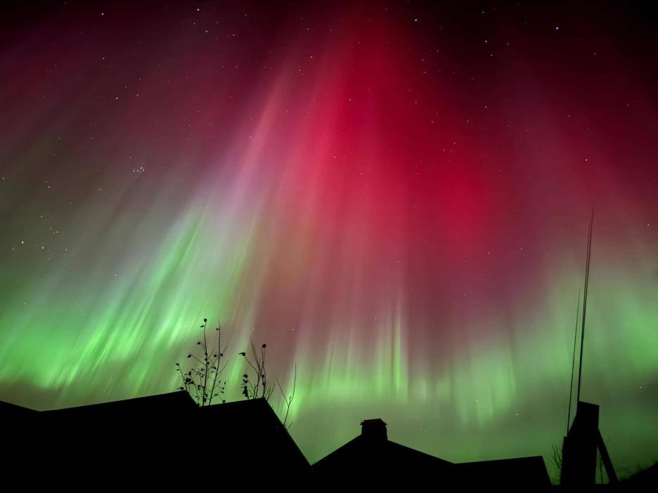 фото img_6989d7c07718a.jpg