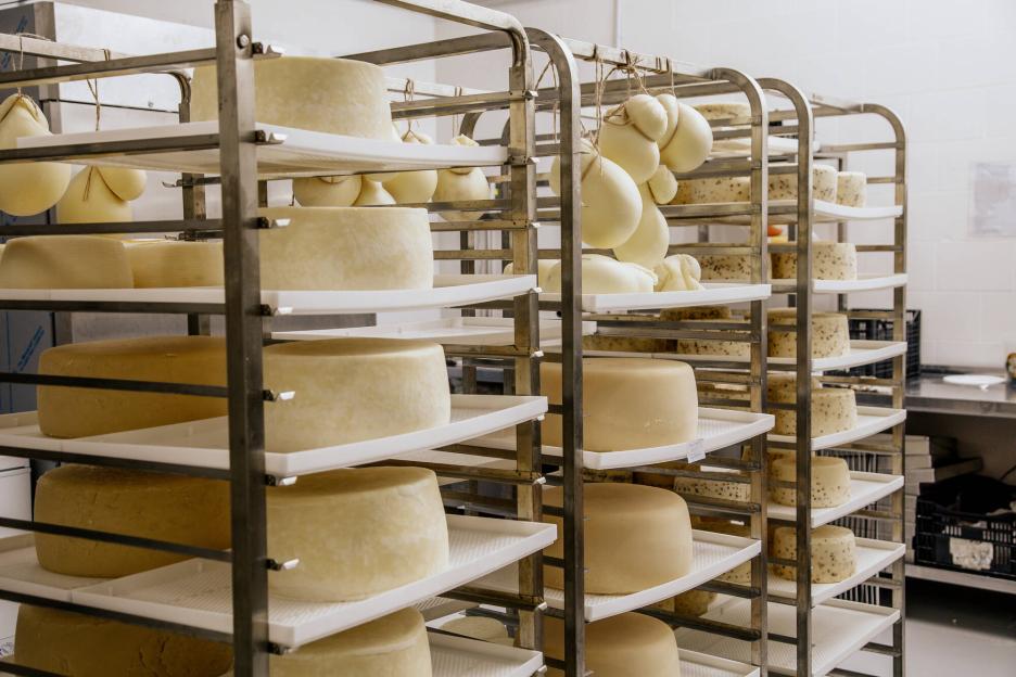 фото img_698c3e3d78c9b.jpg