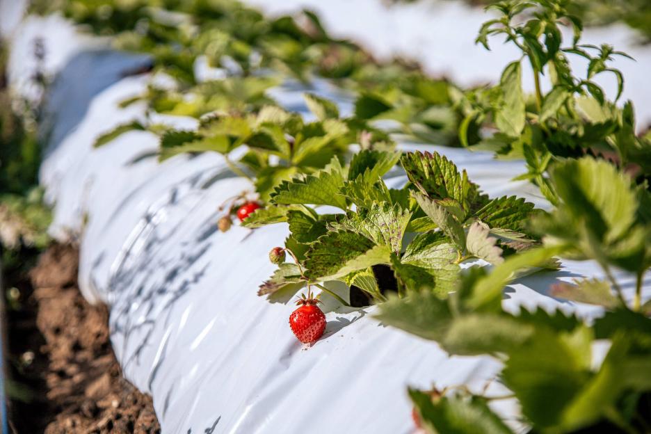 фото img_698c3e40dea39.jpg