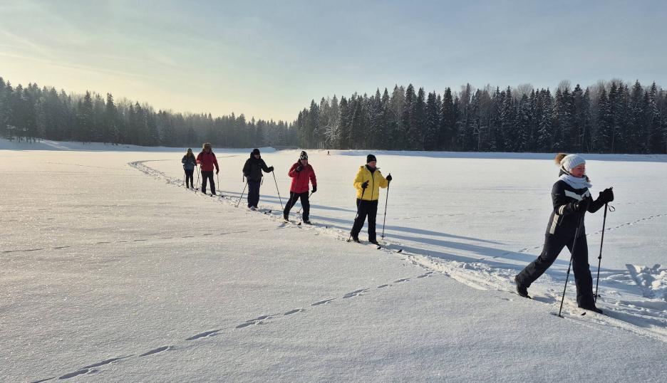 фото img_698c3e50cd29b.jpg