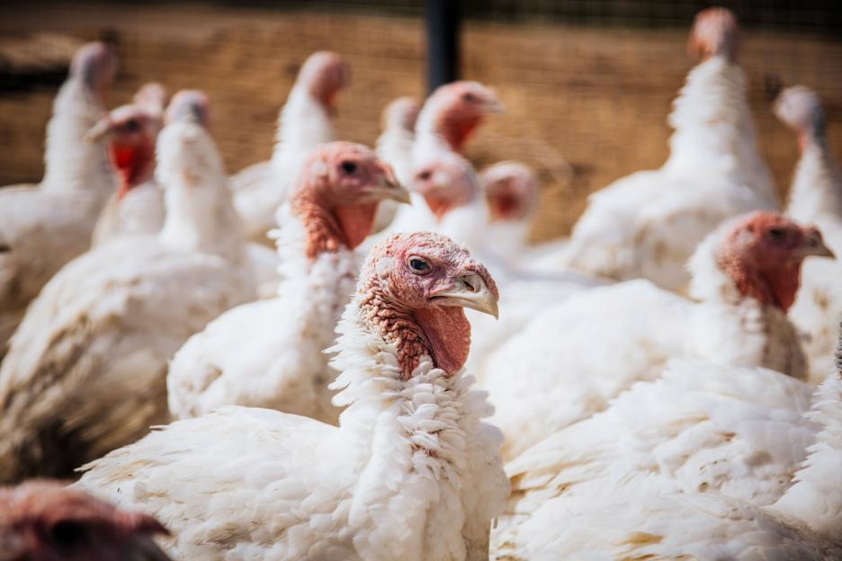 фото img_698c3e724b331.jpg