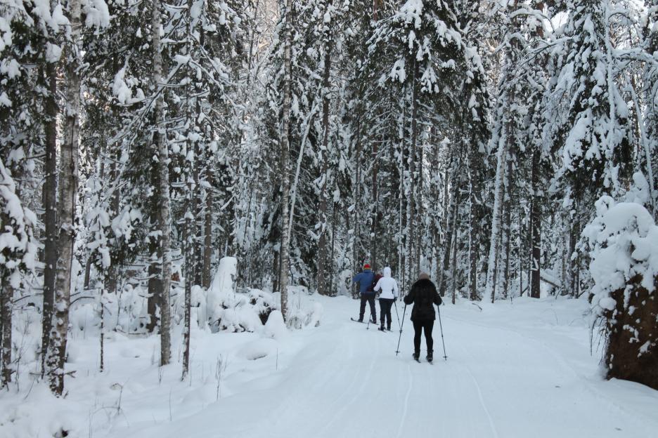 фото img_698c3e7953871.jpg