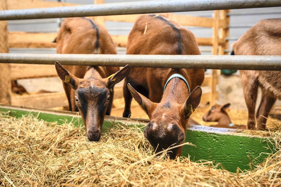 фото img_698c416a62692.jpg